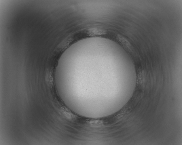 X0000073870426200608241139