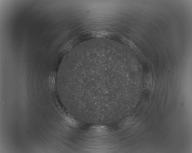 X0000073870427200608241139