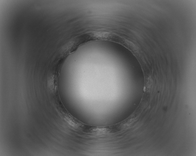 X0000073870428200608241139