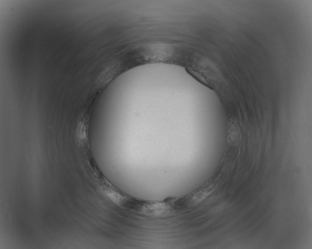 X0000073870431200608241139