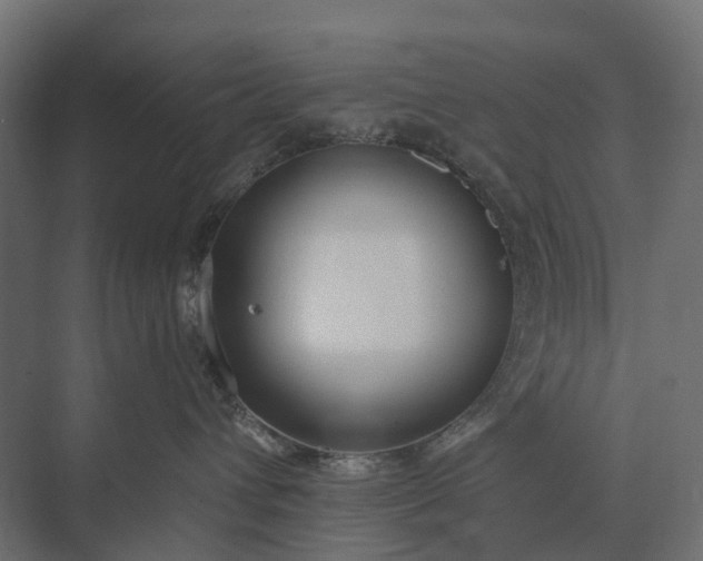 X0000073870432200608241139