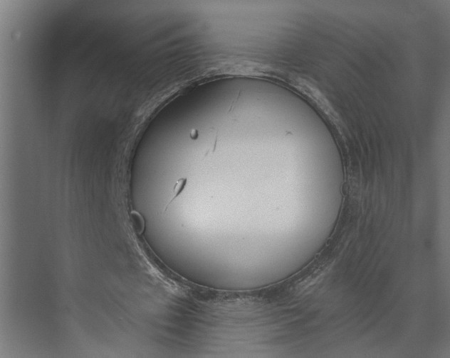 X0000073870433200608241138