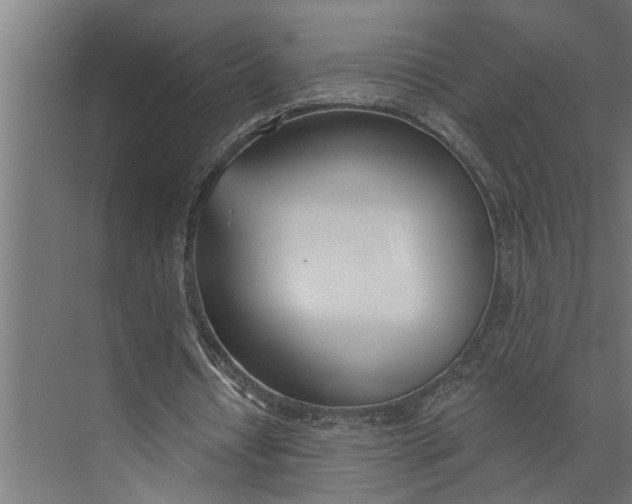 X0000073870434200608241138