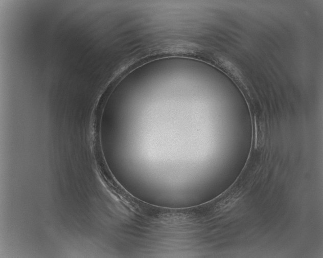 X0000073870435200608241138