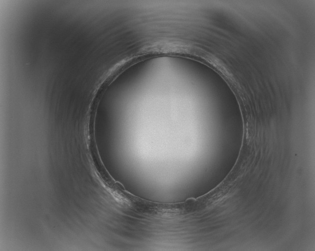 X0000073870438200608241138