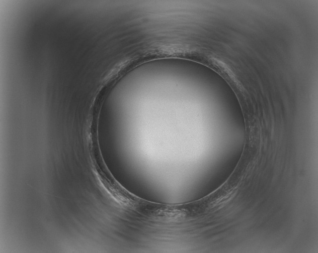 X0000073870443200608241139