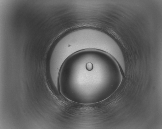 X0000073870444200608241139