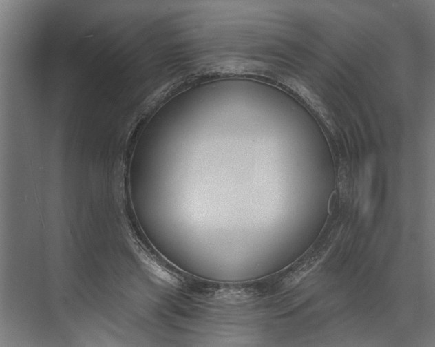 X0000073870445200608241139