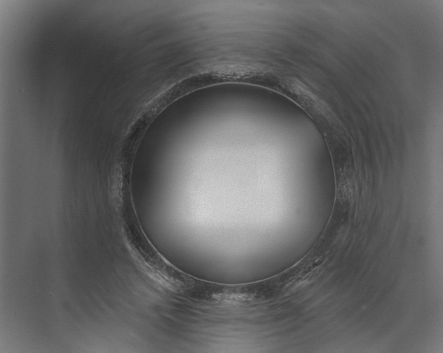 X0000073870448200608241139