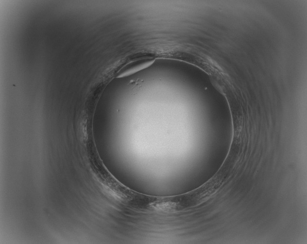 X0000073870452200608241139