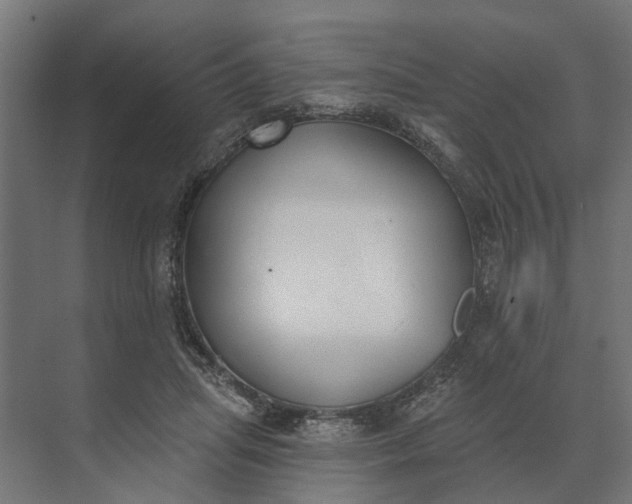 X0000073870455200608241139