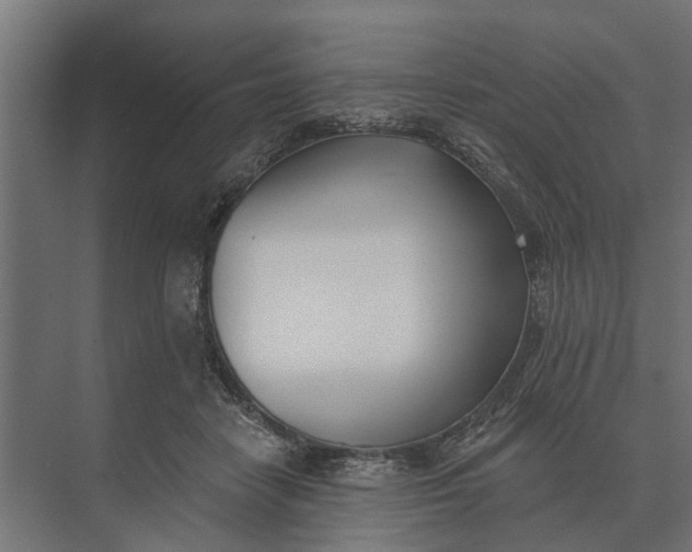 X0000073870458200608241139