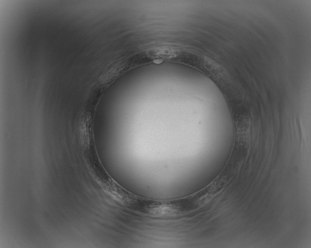 X0000073870460200608241139