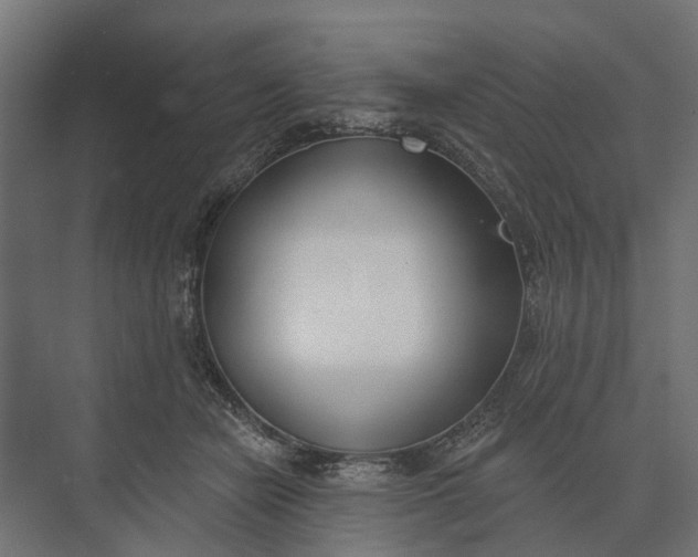 X0000073870462200608241139