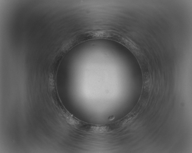 X0000073870469200608241139