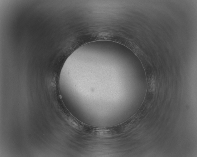 X0000073870472200608241139