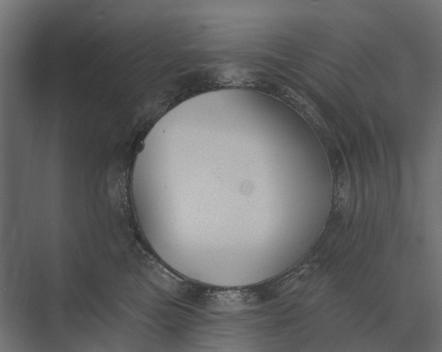 X0000073870473200608241139