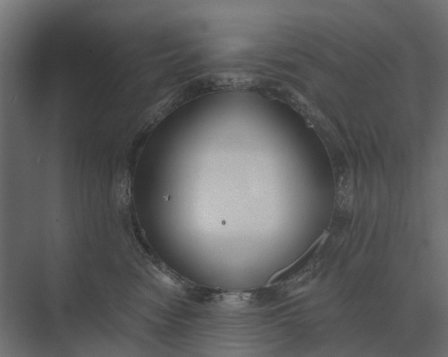 X0000073870474200608241139