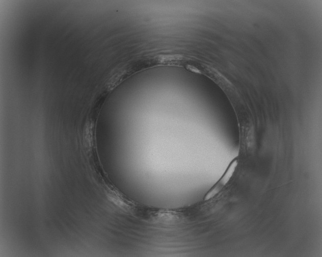 X0000073870475200608241139