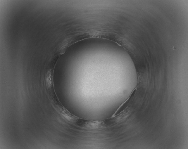 X0000073870479200608241139