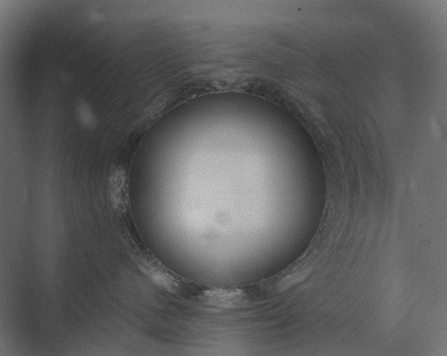 X0000073870480200608241139