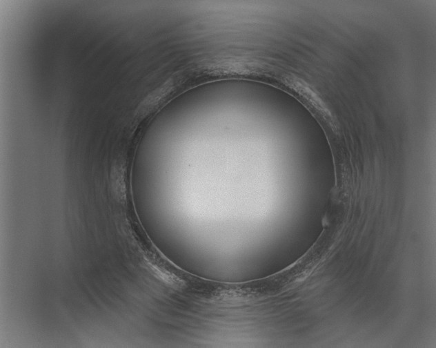 X0000073870489200608241138