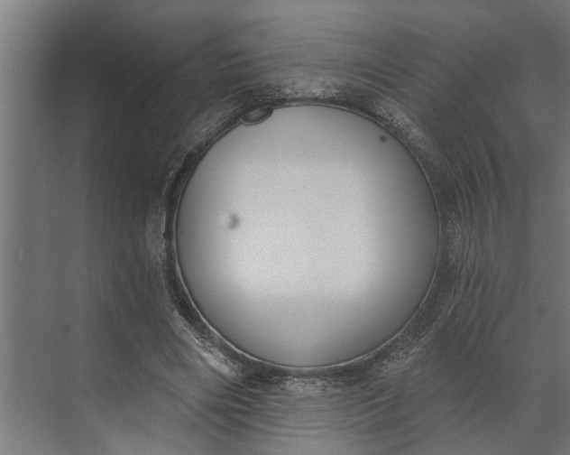 X0000073870490200608241138