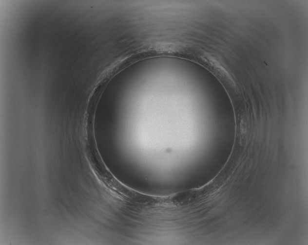 X0000073870492200608241138