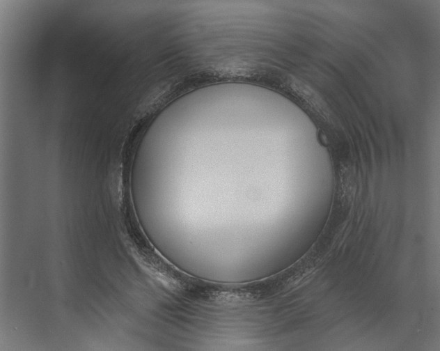 X0000073870494200608241138