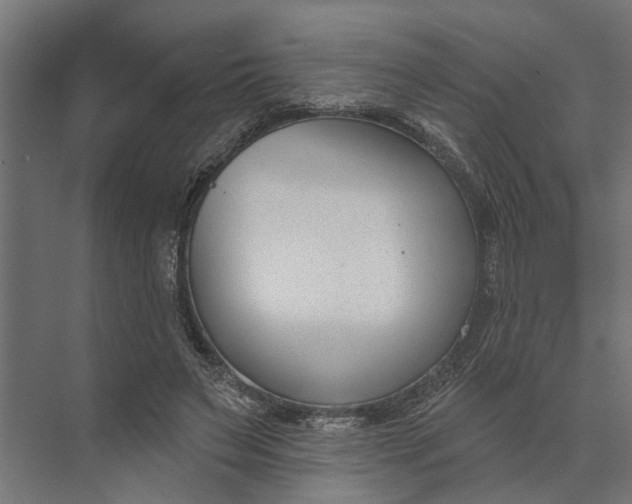 X0000073870495200608241138