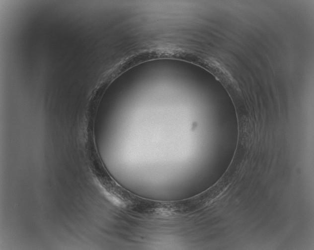 X0000073870496200608241138