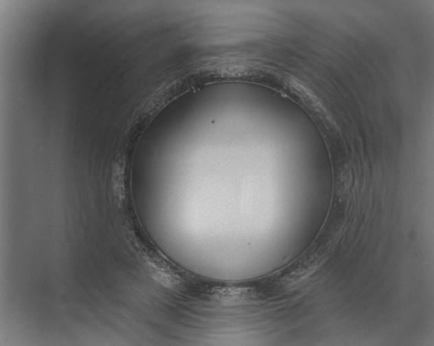 X0000073870497200608241138