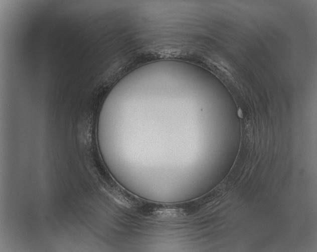 X0000073870499200608241138