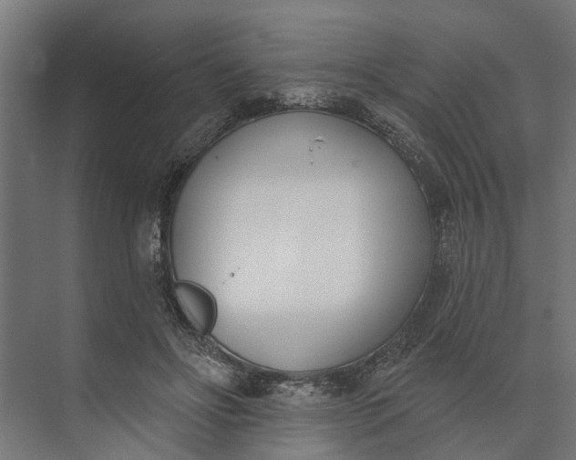 X0000073870502200608241138