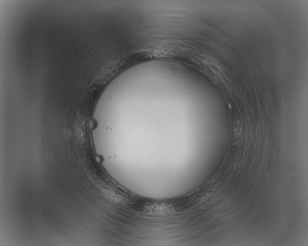 X0000073870503200608241138