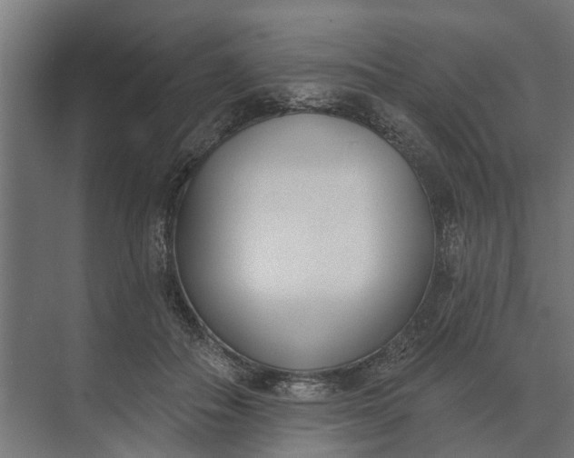 X0000073870506200608241138