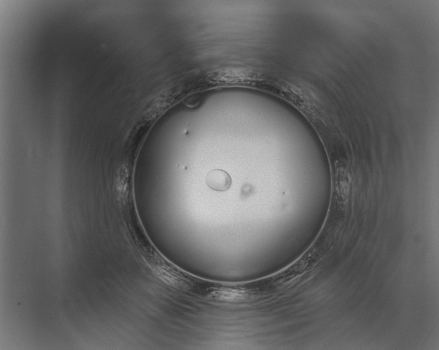 X0000073870507200608241138