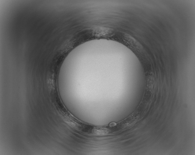 X0000073870510200608241138