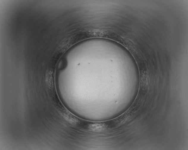 X0000073870511200608241138