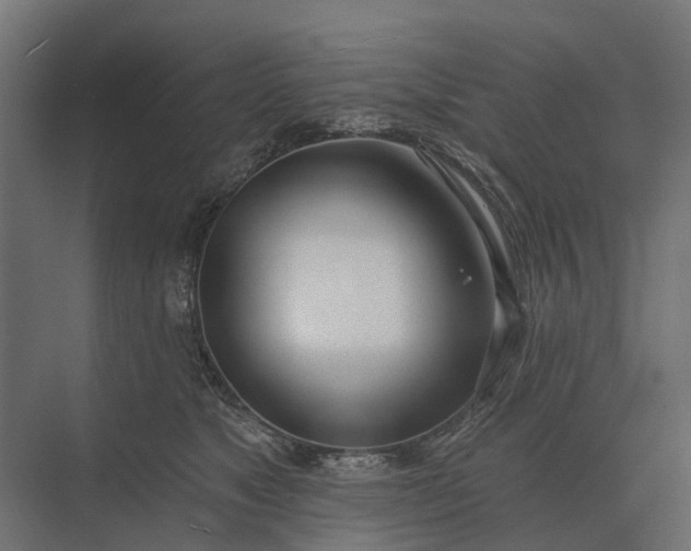 X0000073870517200608241138