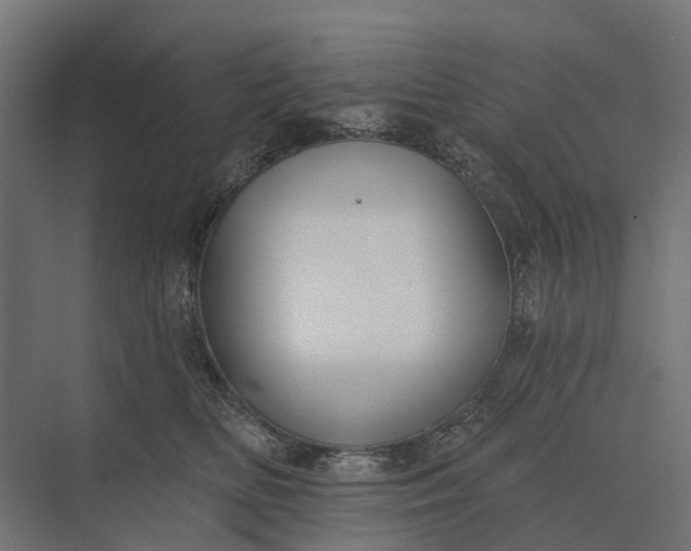 X0000073870518200608241138