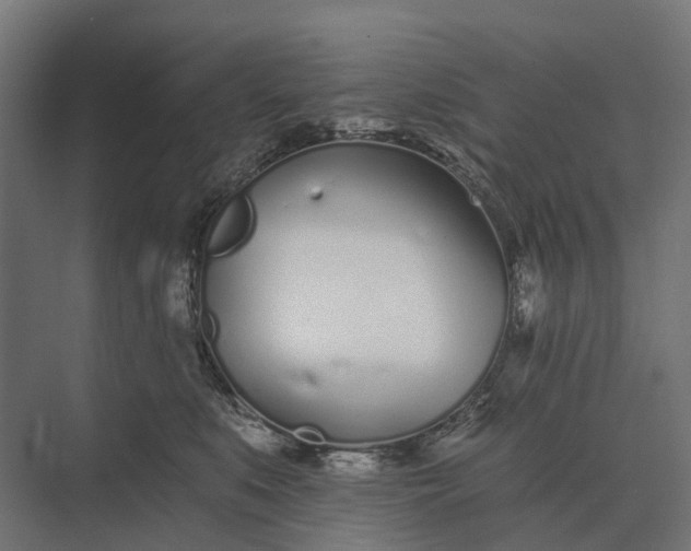 X0000073870519200608241138