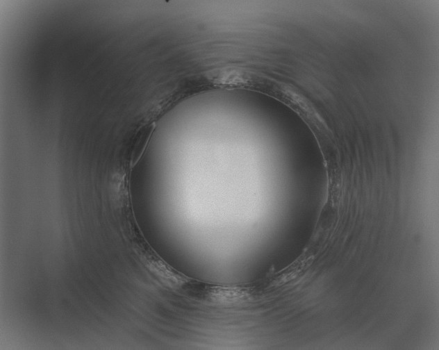 X0000073870521200608241138