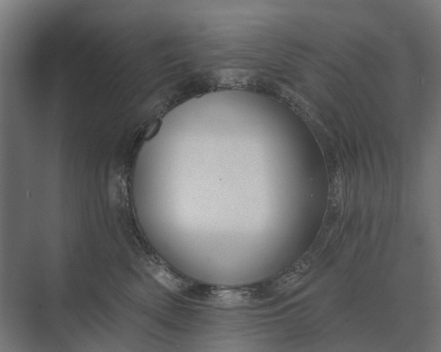 X0000073870522200608241138