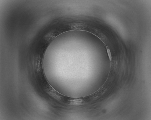 X0000073870525200608241138