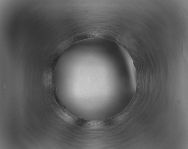 X0000073870526200608241138