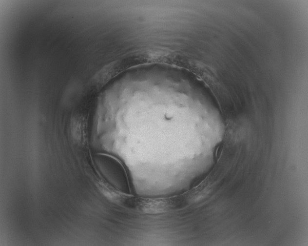 X0000073870527200608241138