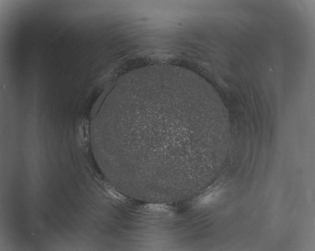 X0000073870528200608241138