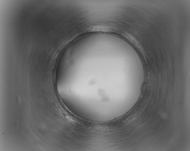 X0000073870529200608241137