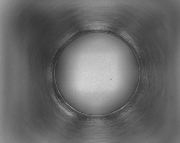 X0000073870533200608241137